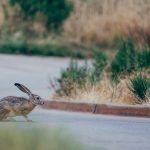 Photo by Jason Leung on Unsplash