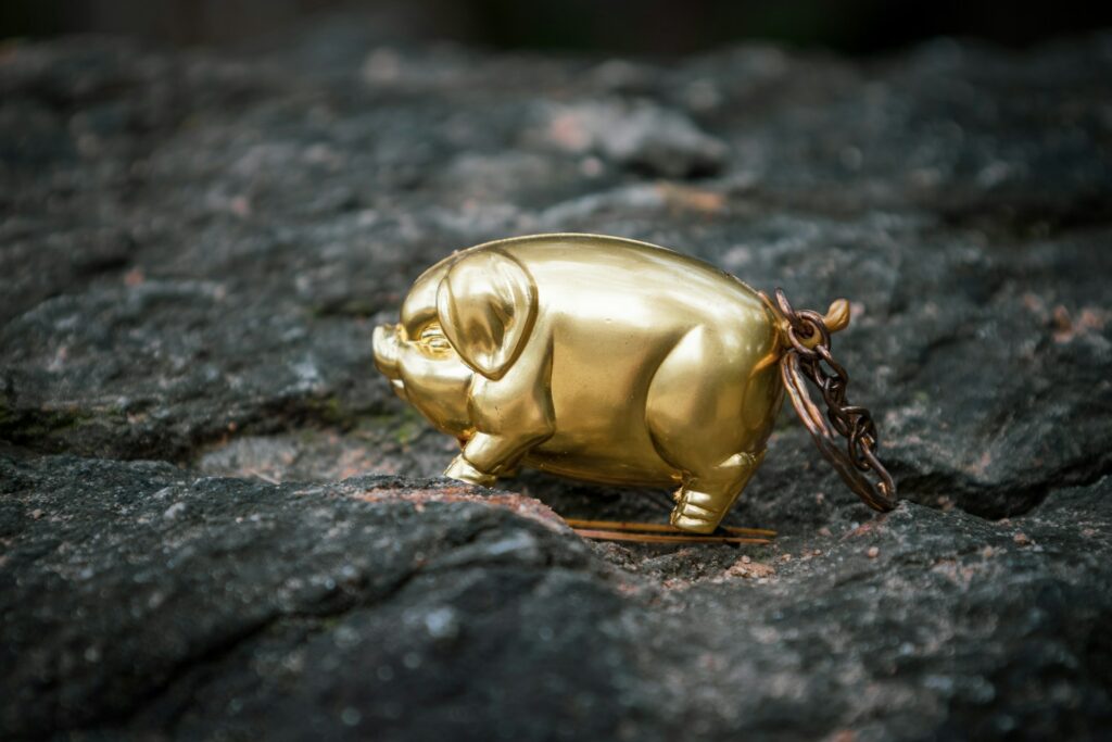 Gouden spaarvarken photos-of-korea-of4Aq_rBKC4-unsplash