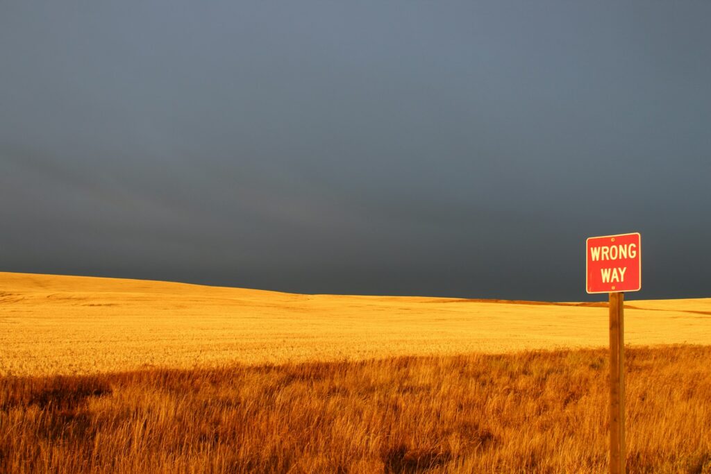 Graanveld met gouden gloed, donkere lucht, en rood verkeersbord met wrong way tekst erop - tasha-lyn-KQBE5nFh30k-unsplash