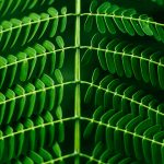 Leaf_Pattern photo by pandu ior on unsplash