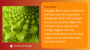  Fractalenonderzoek-Romanesco