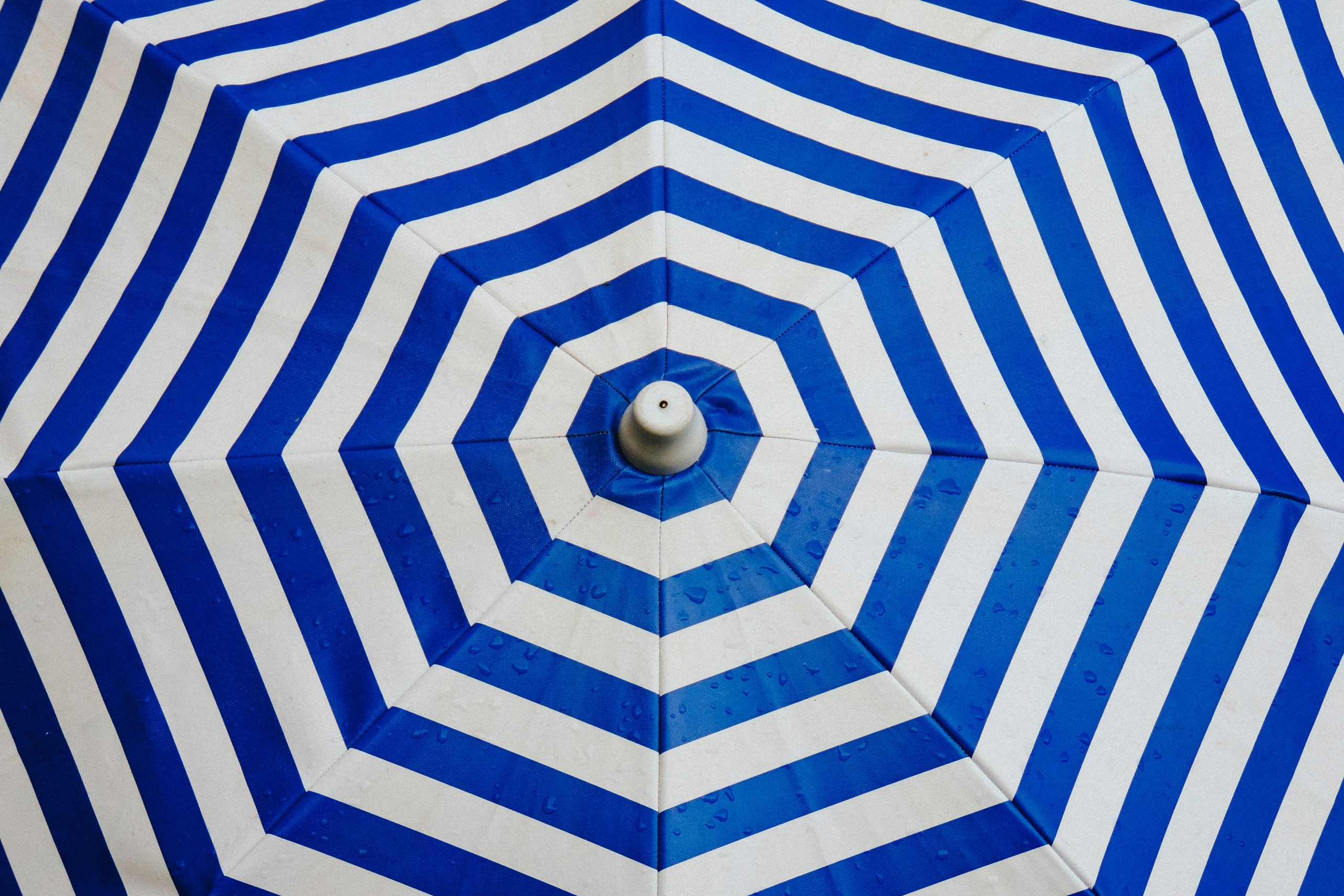 beto-galetto-unsplash- pattern-fractal-umbrella