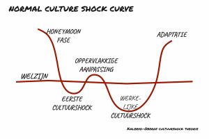 Culture shock cur