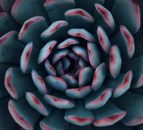 yousef-espanioly-u16ZFBf4yUI-unsplash