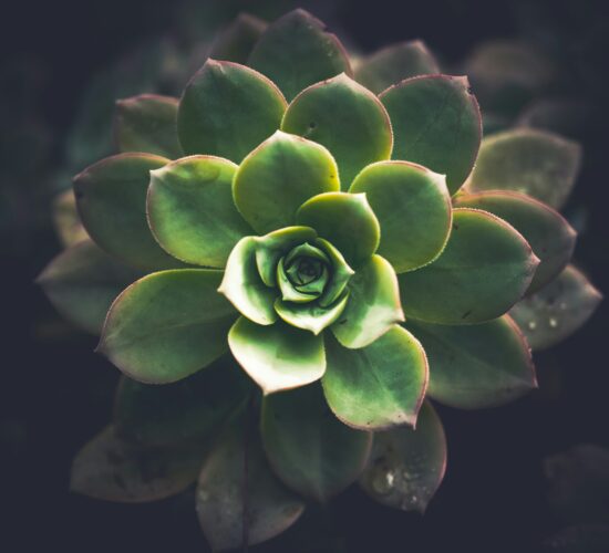 cosmic-timetraveler-Wb2JCFVa59Q-unsplash-scaled