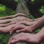 shane-rounce-DNkoNXQti3c-unsplash-cropped