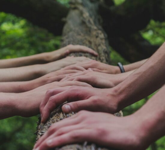 shane-rounce-DNkoNXQti3c-unsplash-cropped