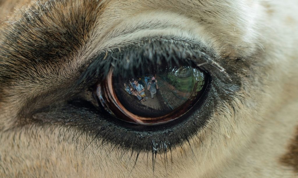 David Clode on Unsplash