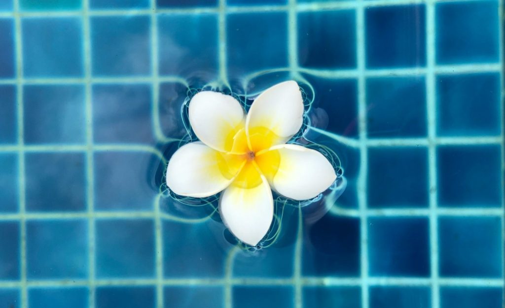 white flower in blue swimmingpool from above yana-druzhinina-EWD3tj_36Iw-unsplash