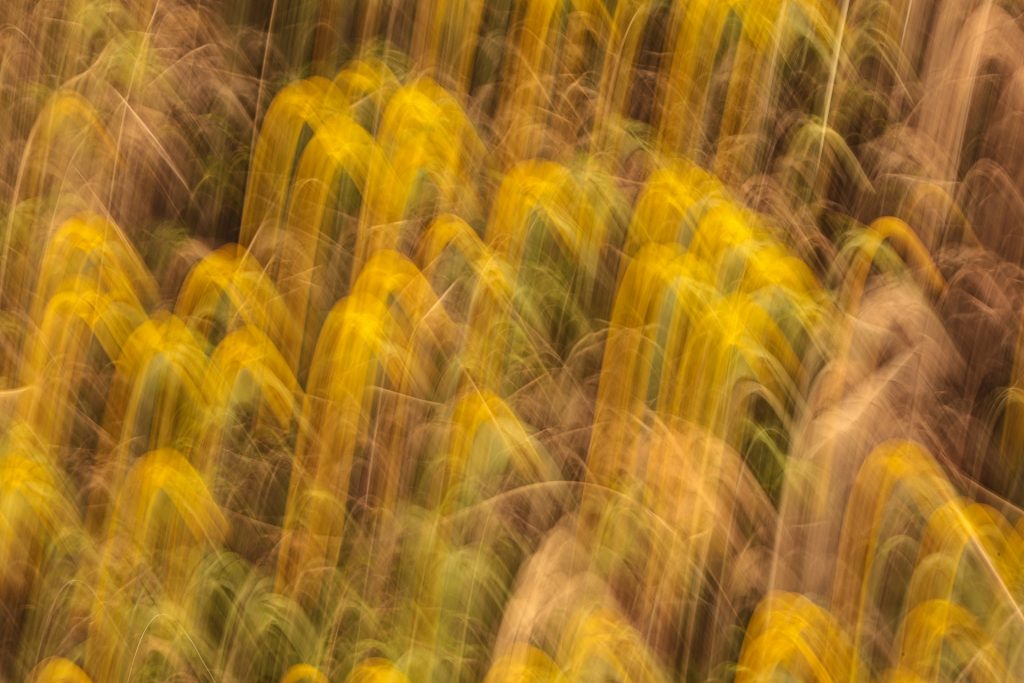 mariola-grobelska-pCvqX3_kQjo-unsplash