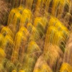 mariola-grobelska-pCvqX3_kQjo-unsplash