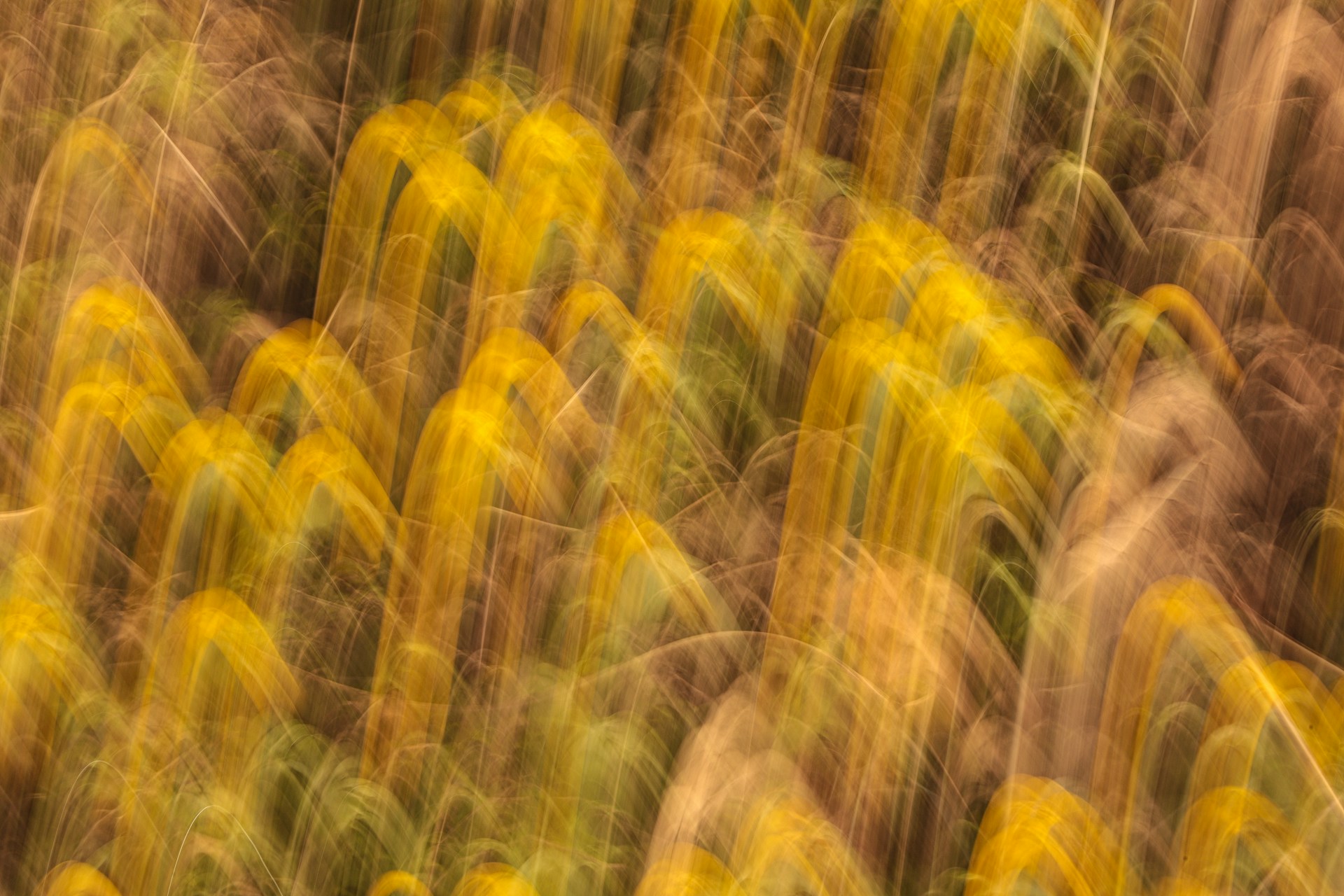 mariola-grobelska-pCvqX3_kQjo-unsplash
